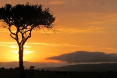 Accommodations-in-Masai-Mara-Happy-Africa-Tours