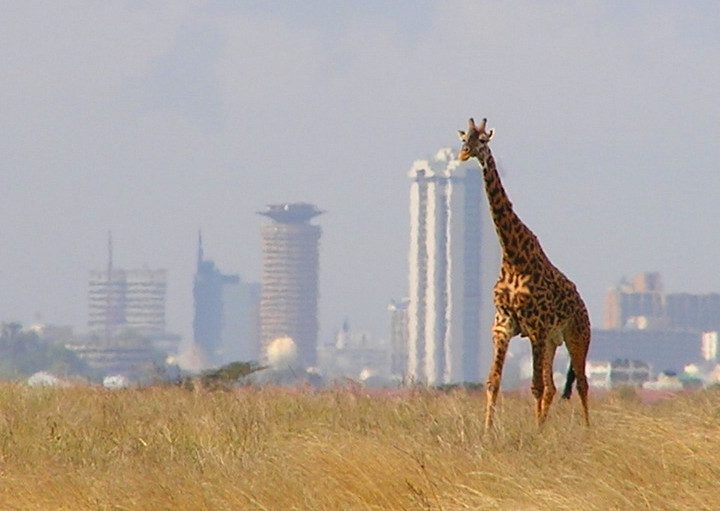 View from Nairobi National Park